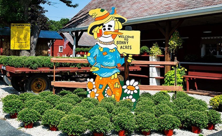 Sonny Acres Farm, United States